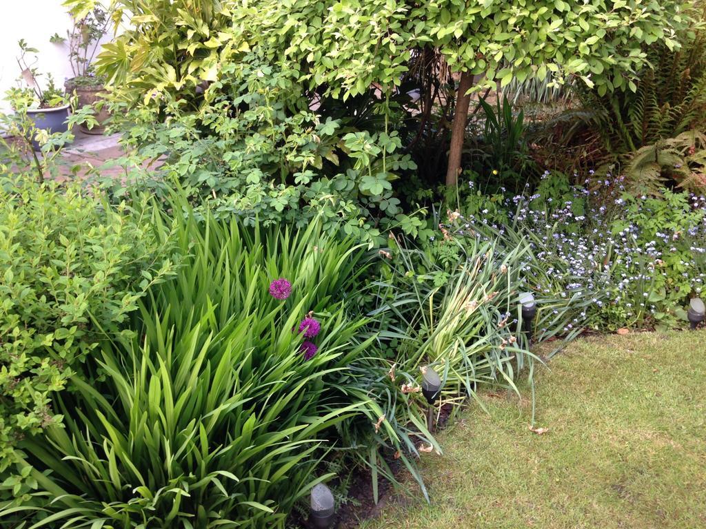 Willow Cottage B&B Yeadon ภายนอก รูปภาพ