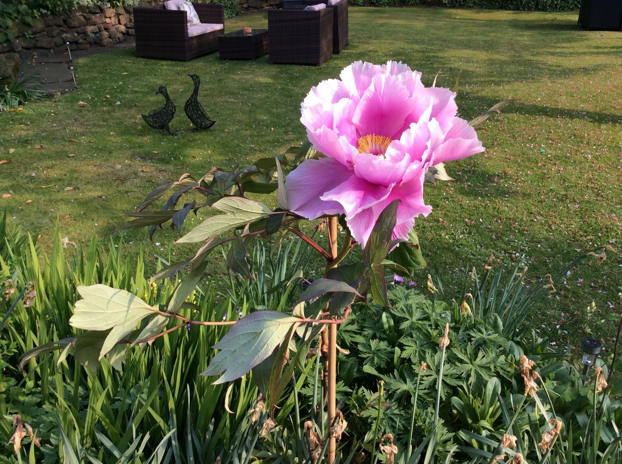 Willow Cottage B&B Yeadon ภายนอก รูปภาพ